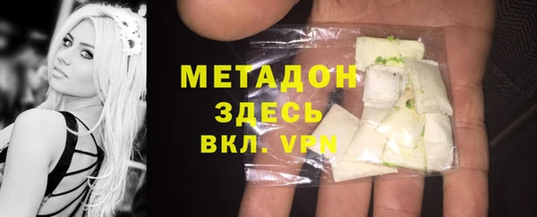 прущие грибы Аркадак