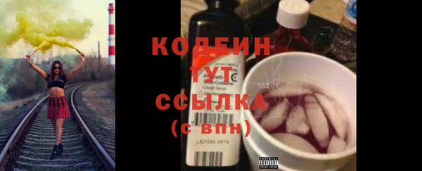 прущие грибы Аркадак
