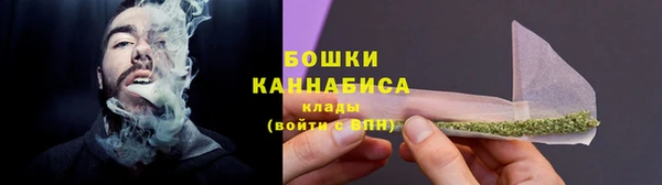 прущие грибы Аркадак