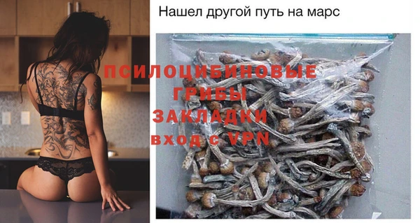 прущие грибы Аркадак