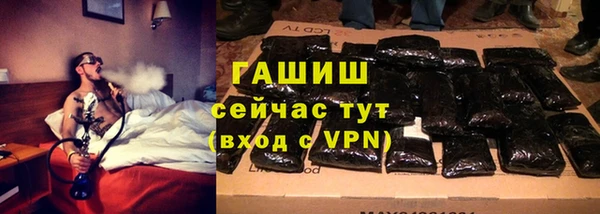 прущие грибы Аркадак